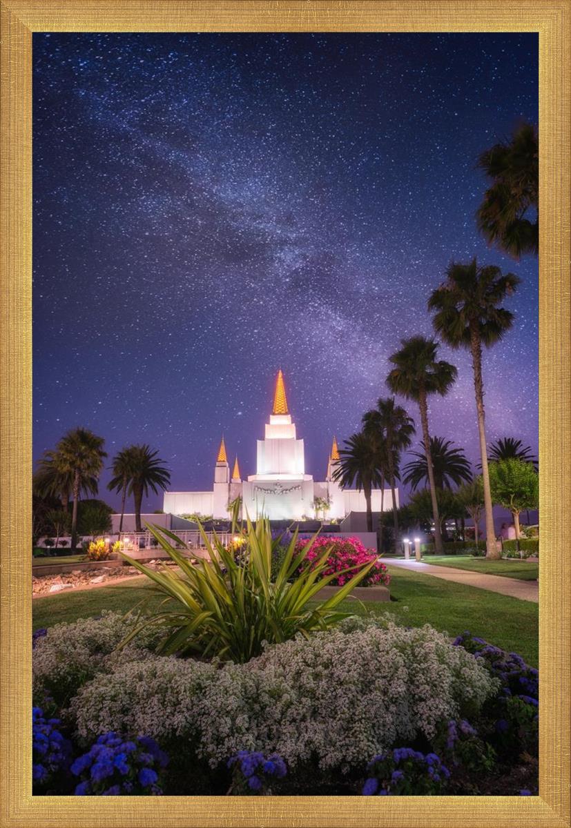 Oakland Starry Eyed