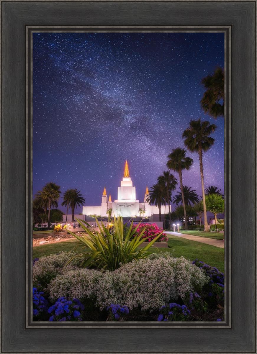 Oakland Starry Eyed