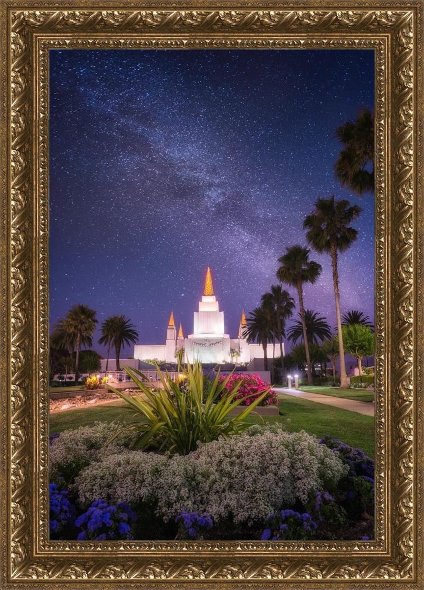 Oakland Starry Eyed