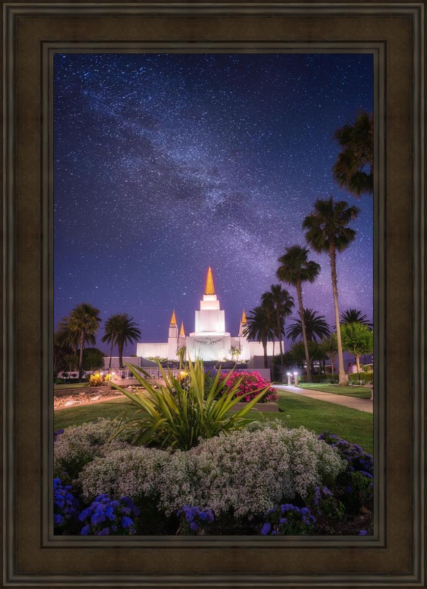 Oakland Starry Eyed