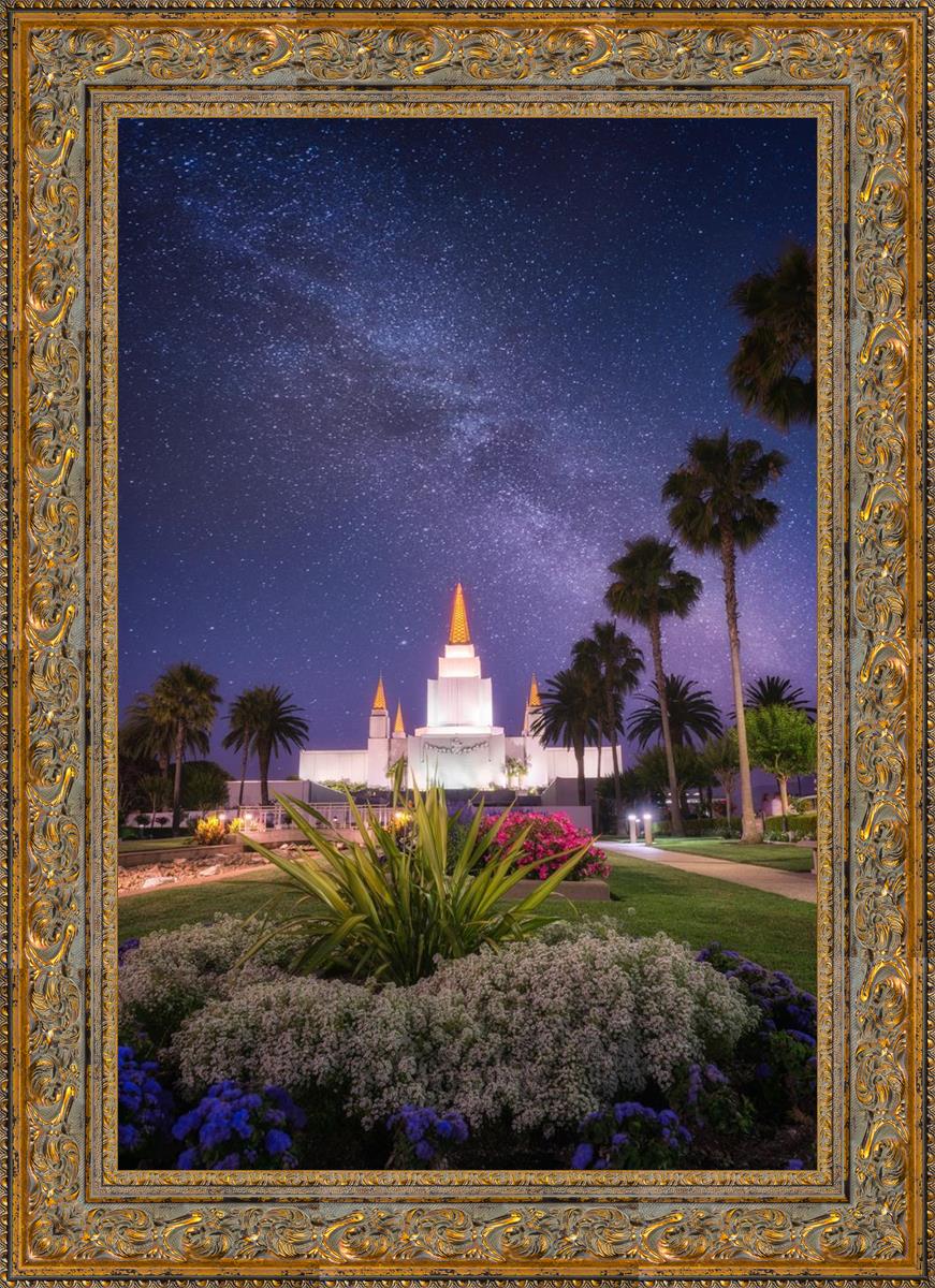 Oakland Starry Eyed