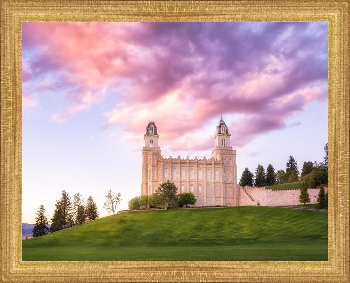 Manti Cotton Candy
