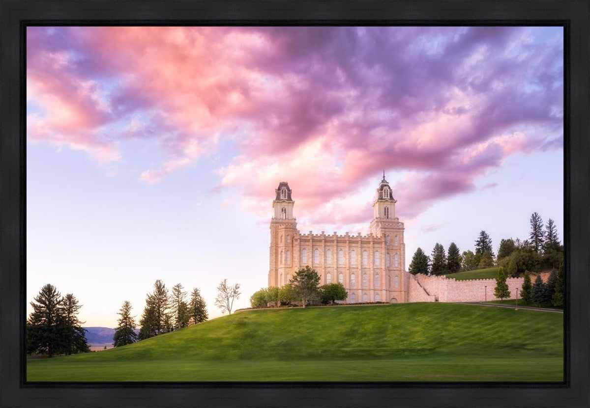 Manti Cotton Candy