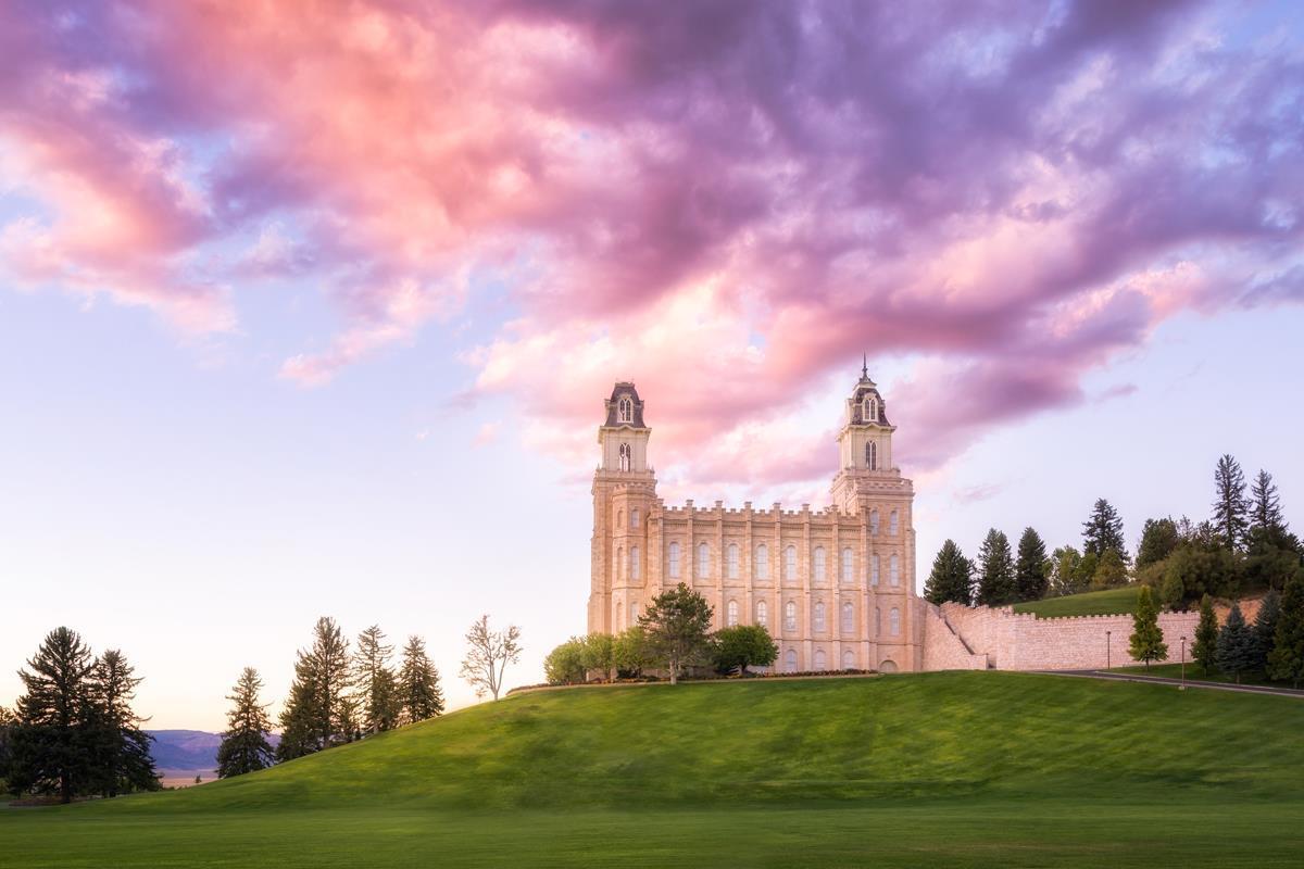 Manti Cotton Candy