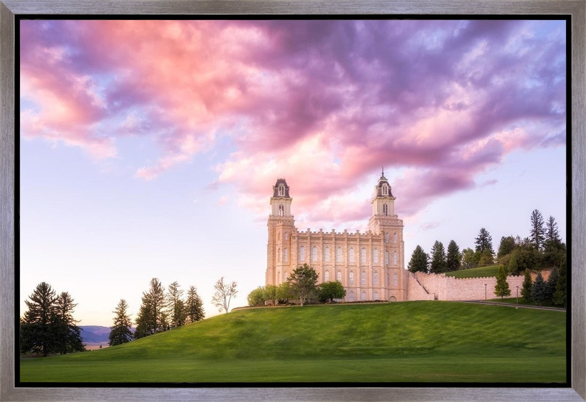 Manti Cotton Candy