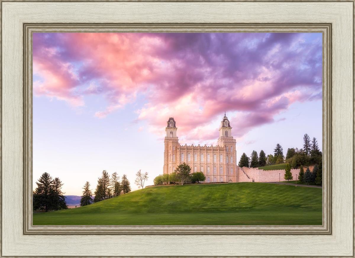 Manti Cotton Candy