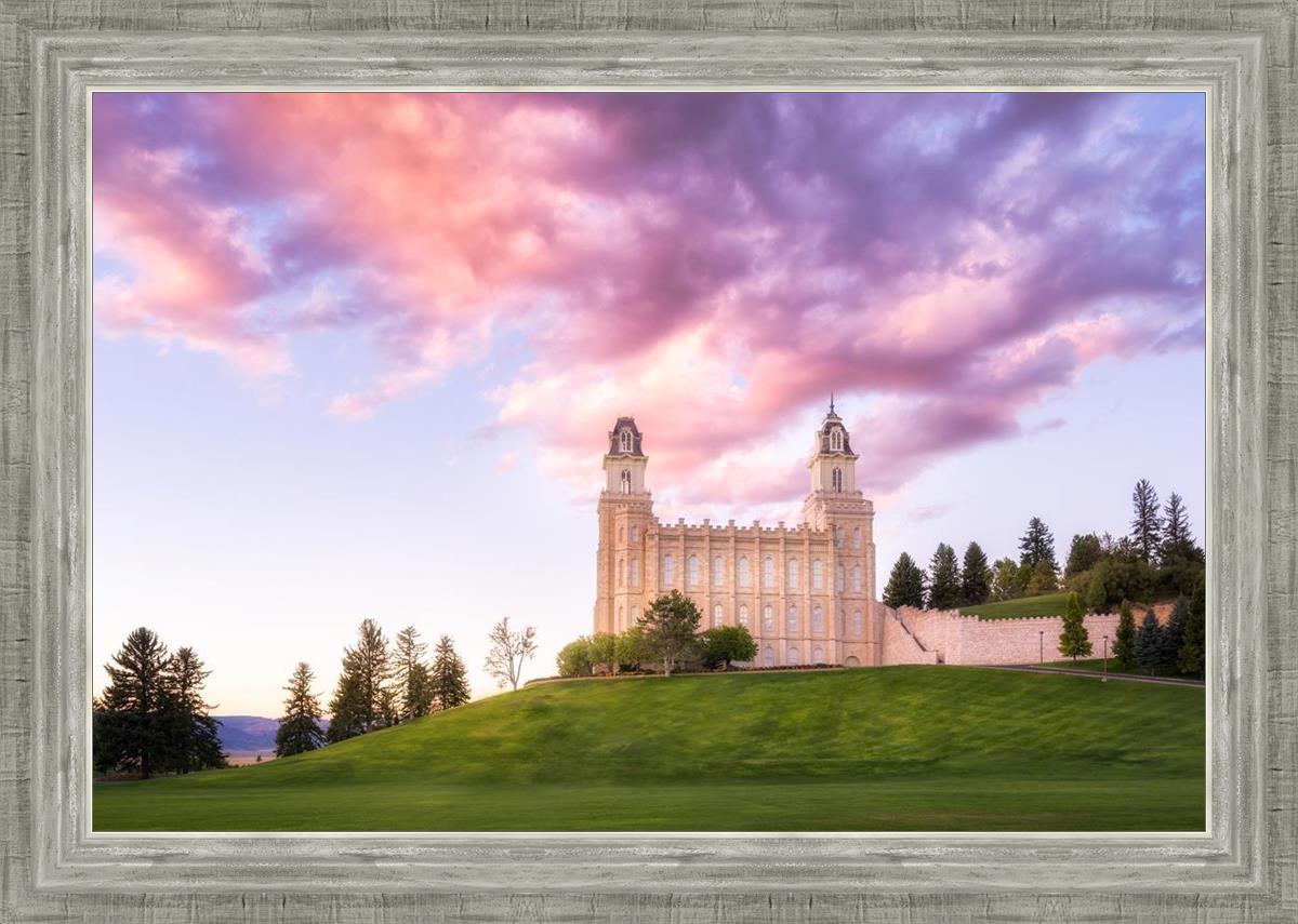 Manti Cotton Candy