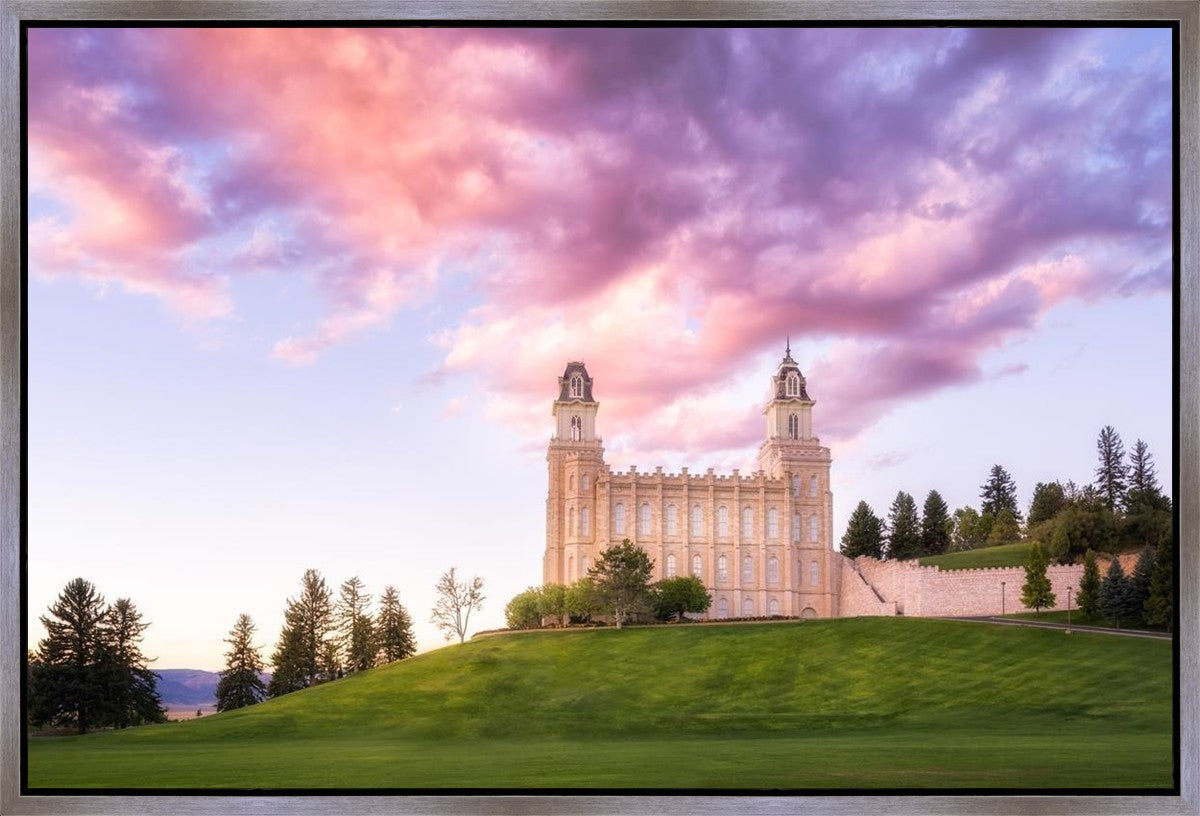 Manti Cotton Candy