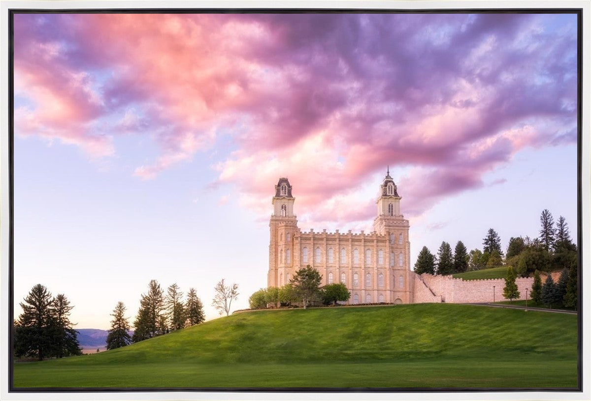 Manti Cotton Candy