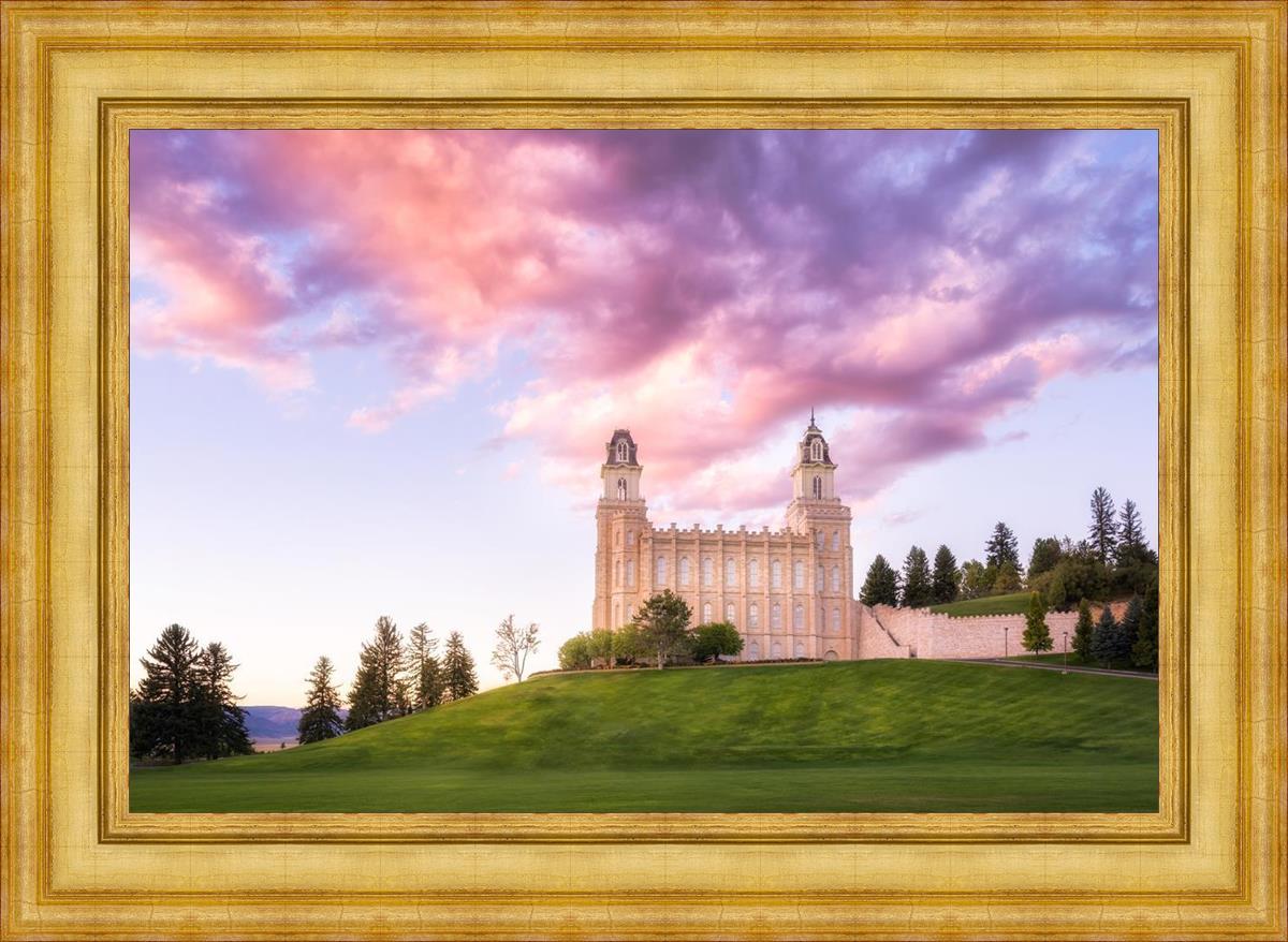 Manti Cotton Candy