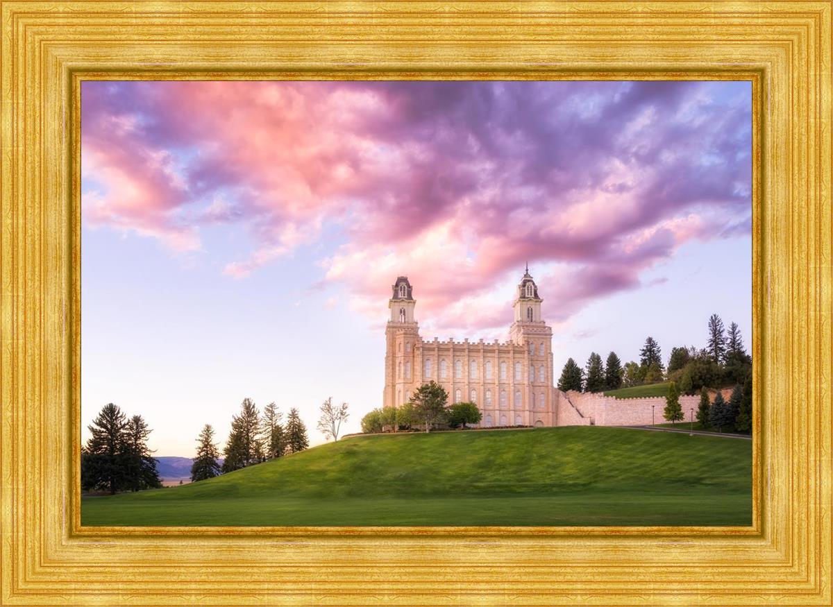 Manti Cotton Candy