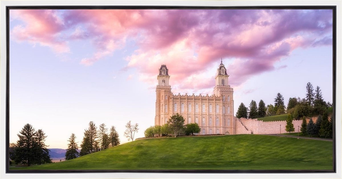 Manti Cotton Candy