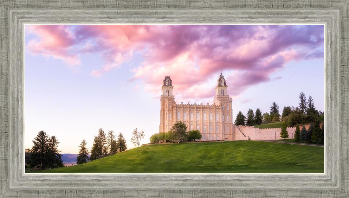 Manti Cotton Candy