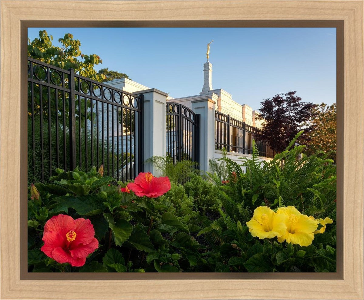 Memphis Flowers
