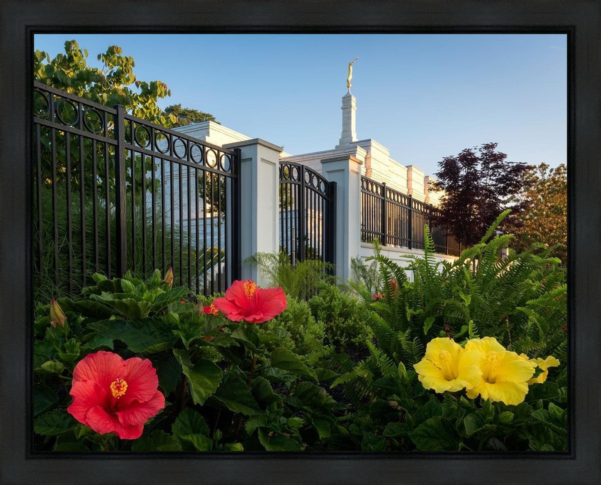Memphis Flowers