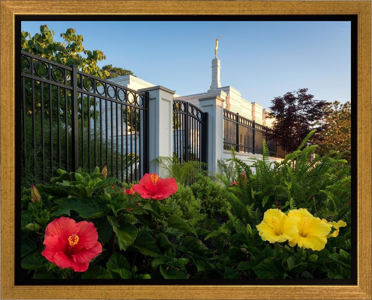 Memphis Flowers