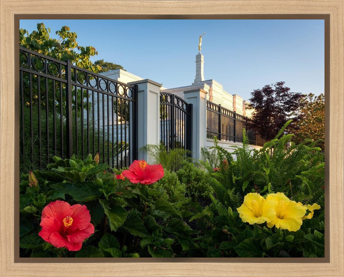Memphis Flowers