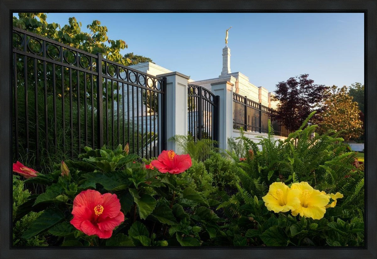 Memphis Flowers