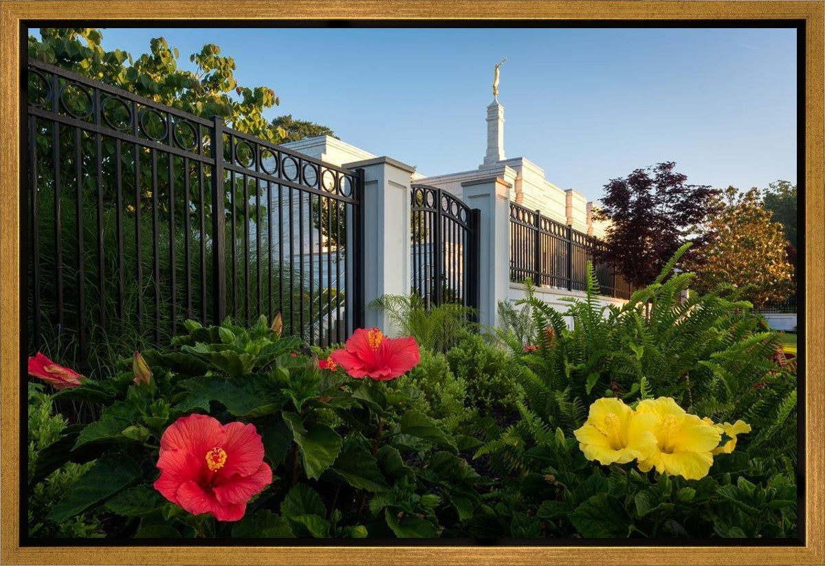 Memphis Flowers