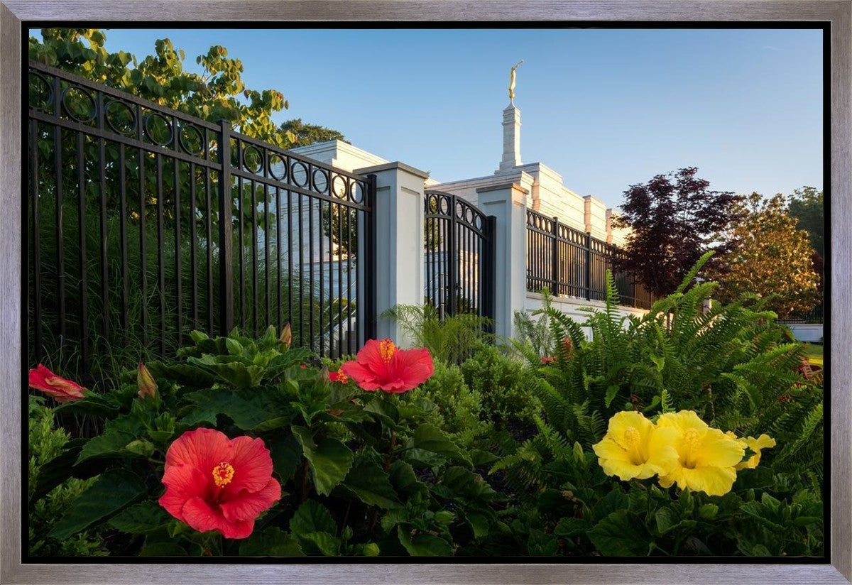 Memphis Flowers