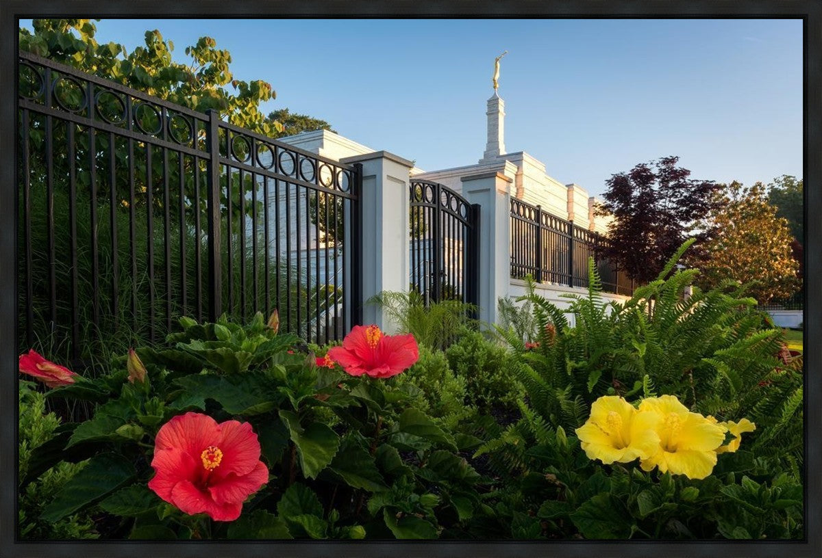 Memphis Flowers