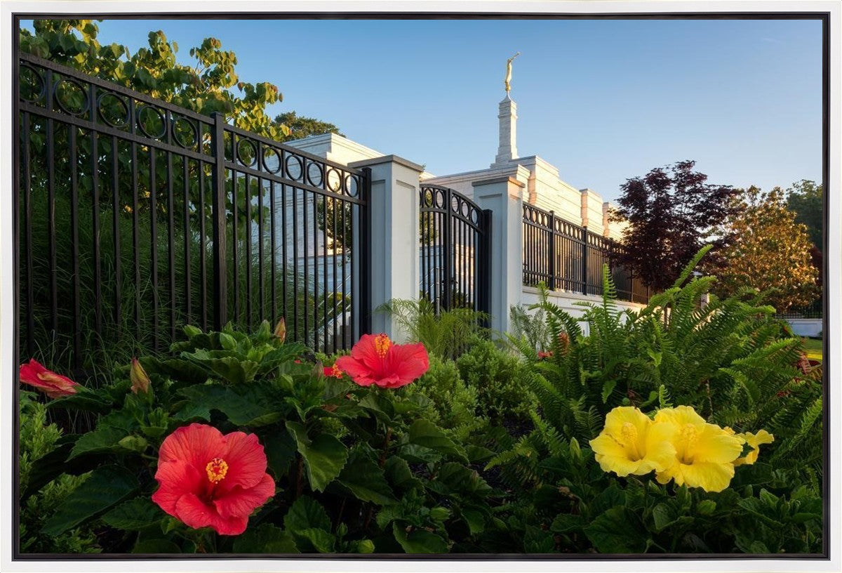Memphis Flowers