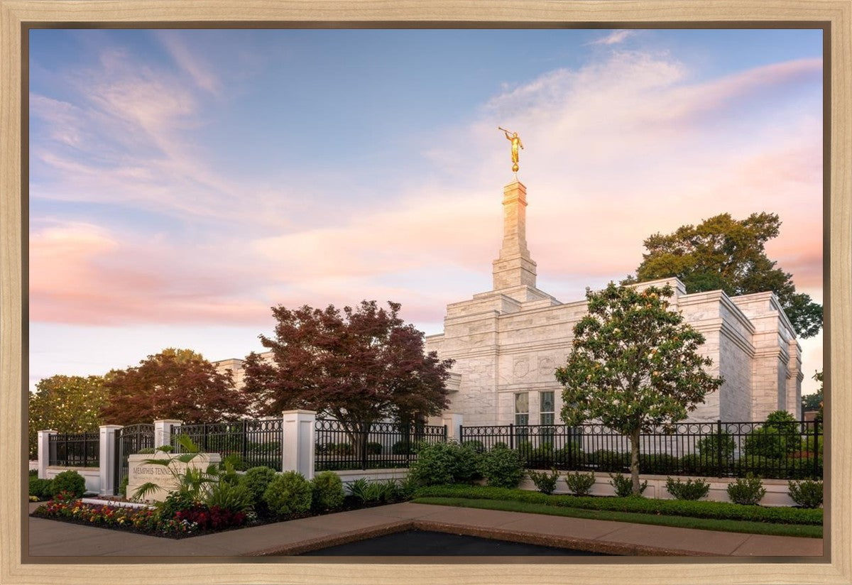 Memphis Morning