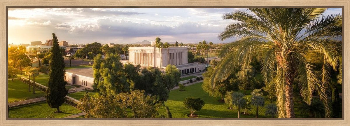 Mesa Afternoon Aerial