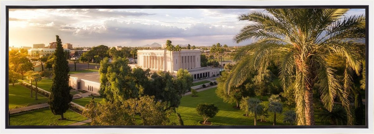 Mesa Afternoon Aerial