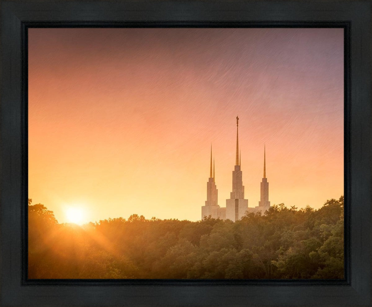 Washington DC Sunset Gold Gallery Wrap