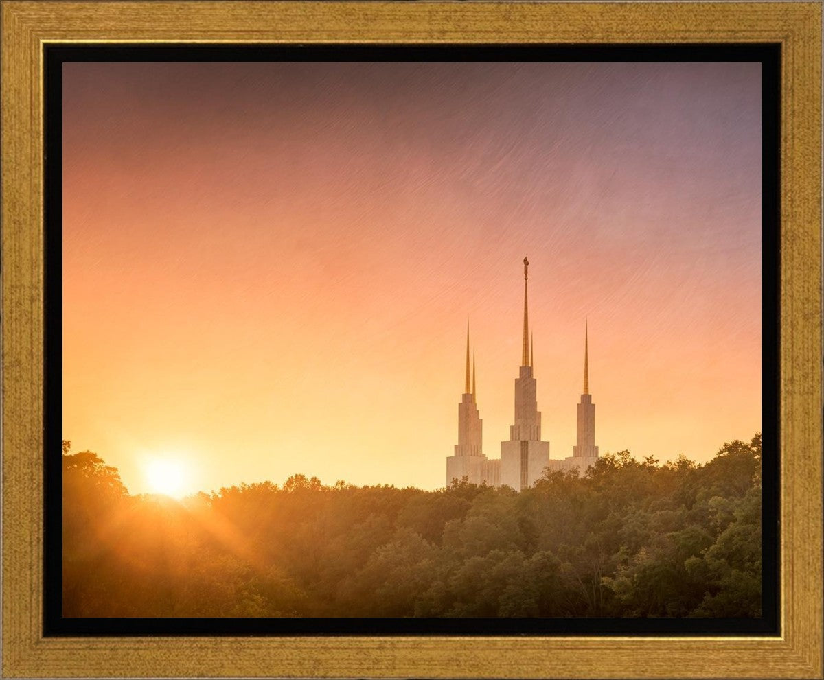 Washington DC Sunset Gold Gallery Wrap