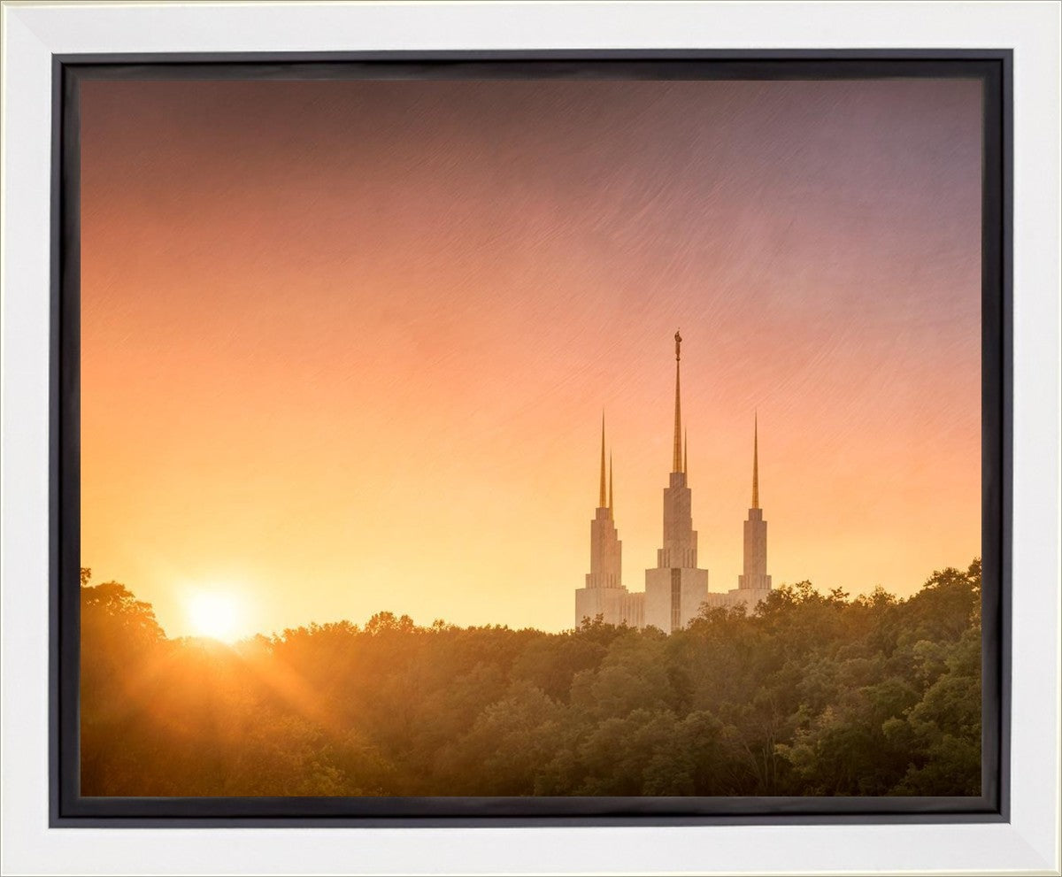 Washington DC Sunset Gold Gallery Wrap