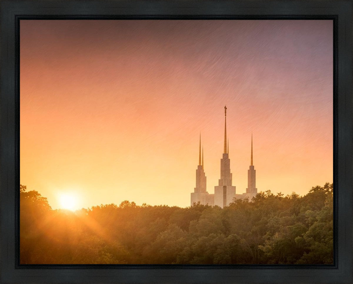 Washington DC Sunset Gold Gallery Wrap