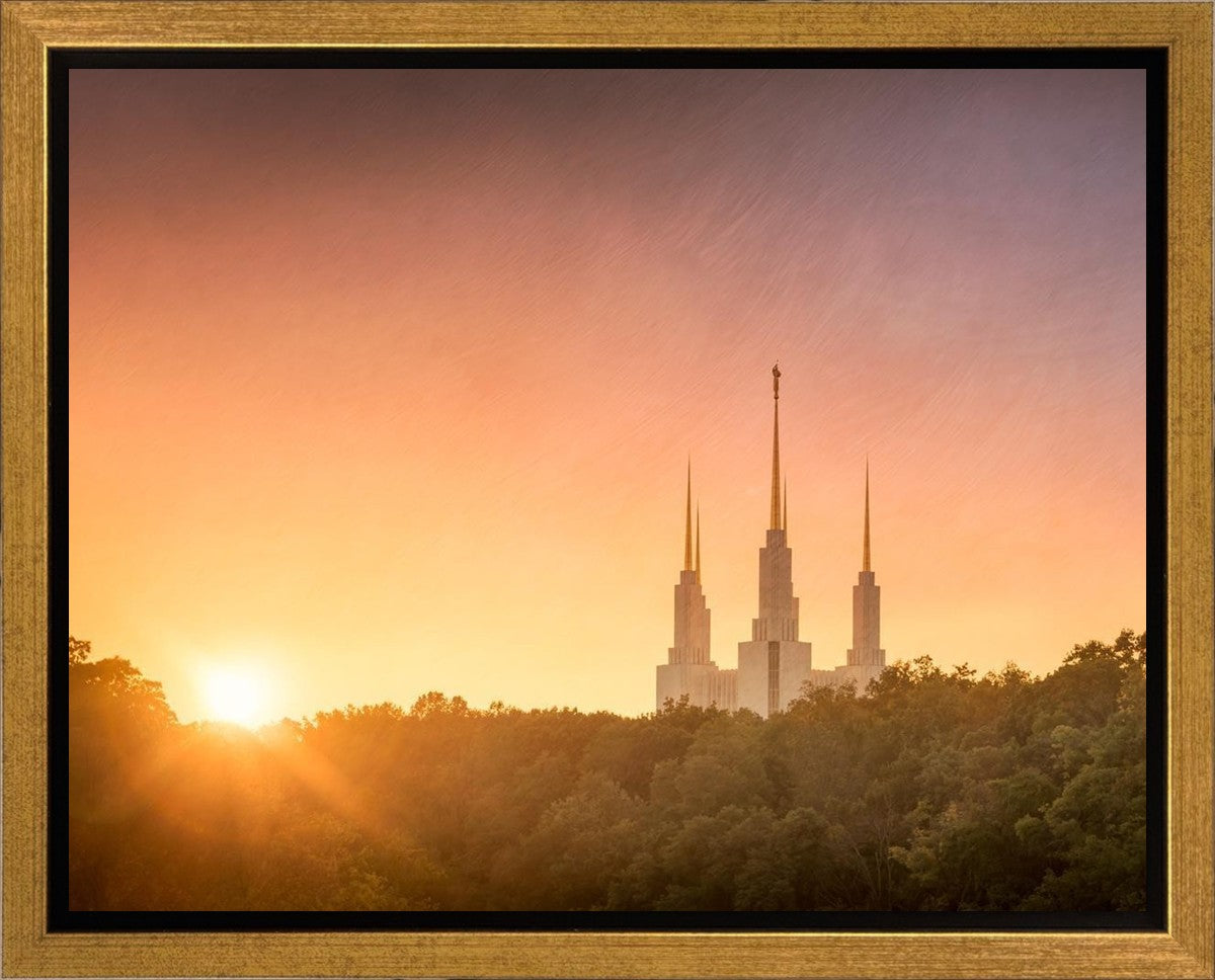 Washington DC Sunset Gold Gallery Wrap