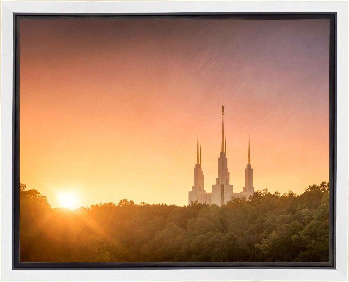 Washington DC Sunset Gold Gallery Wrap
