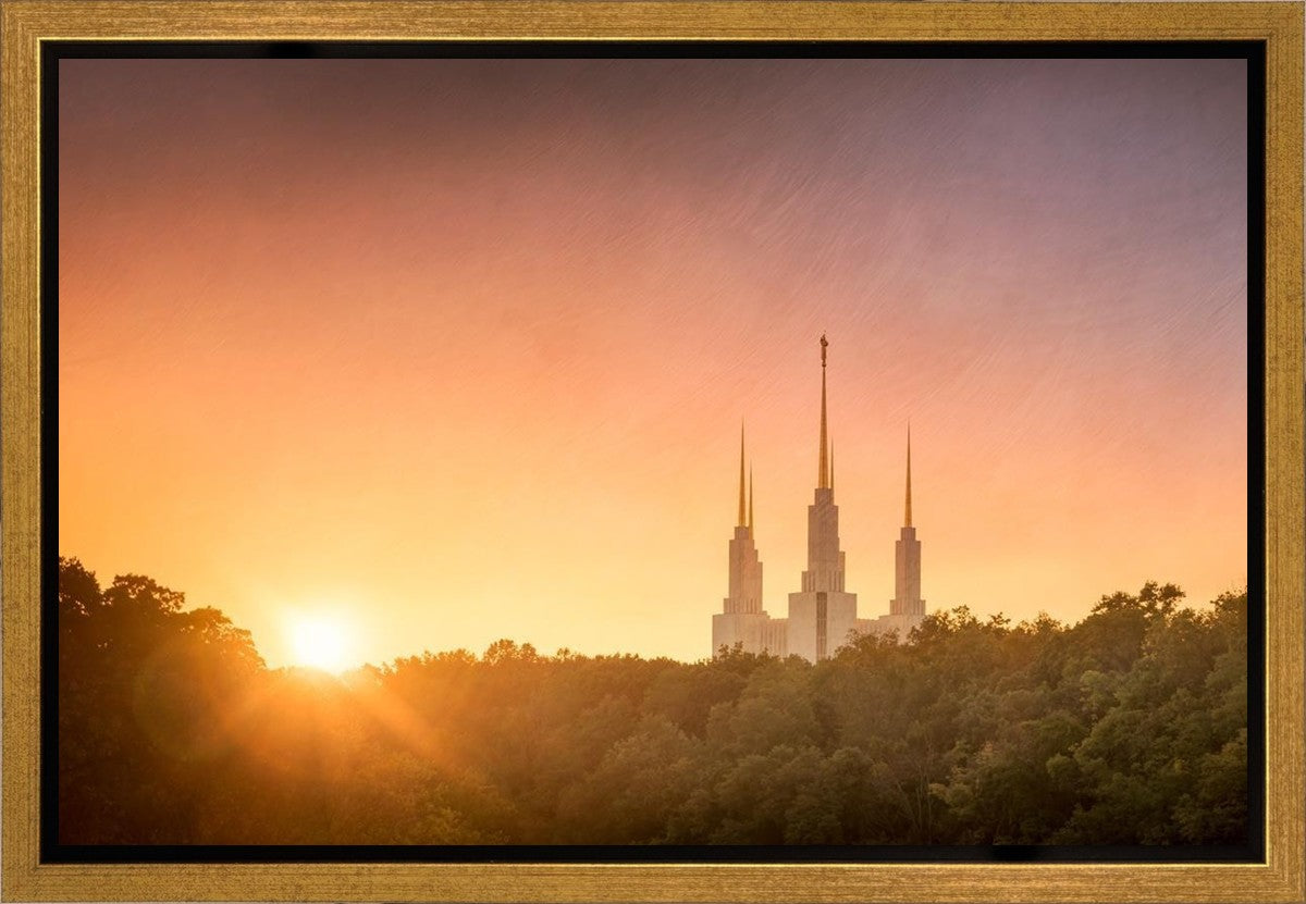 Washington DC Sunset Gold Gallery Wrap
