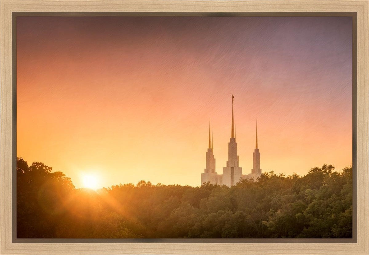 Washington DC Sunset Gold Gallery Wrap