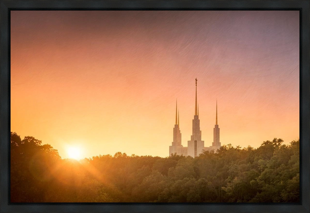 Washington DC Sunset Gold Gallery Wrap