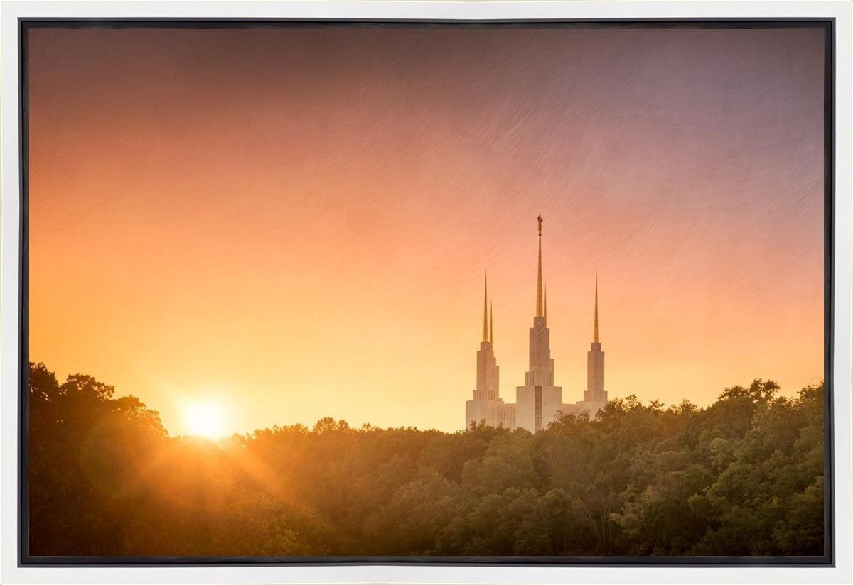 Washington DC Sunset Gold Gallery Wrap