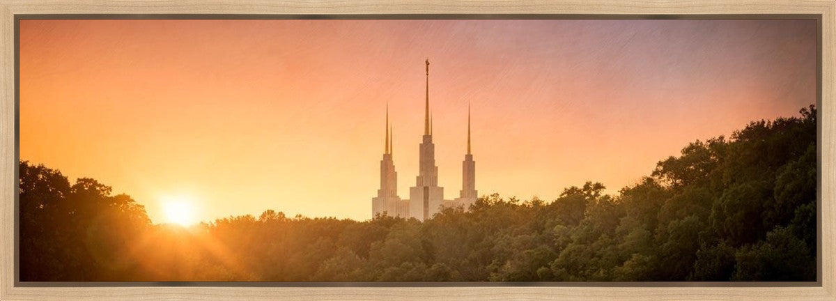 Washington DC Sunset Gold Gallery Wrap