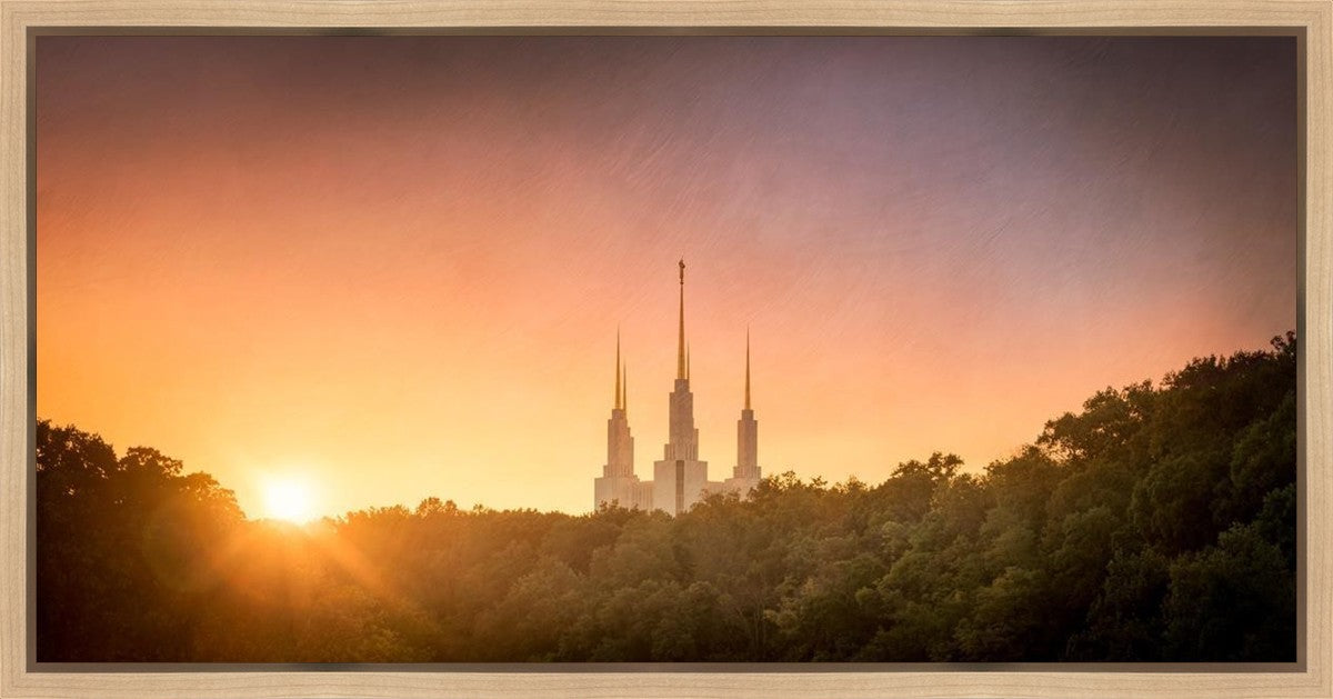 Washington DC Sunset Gold Gallery Wrap