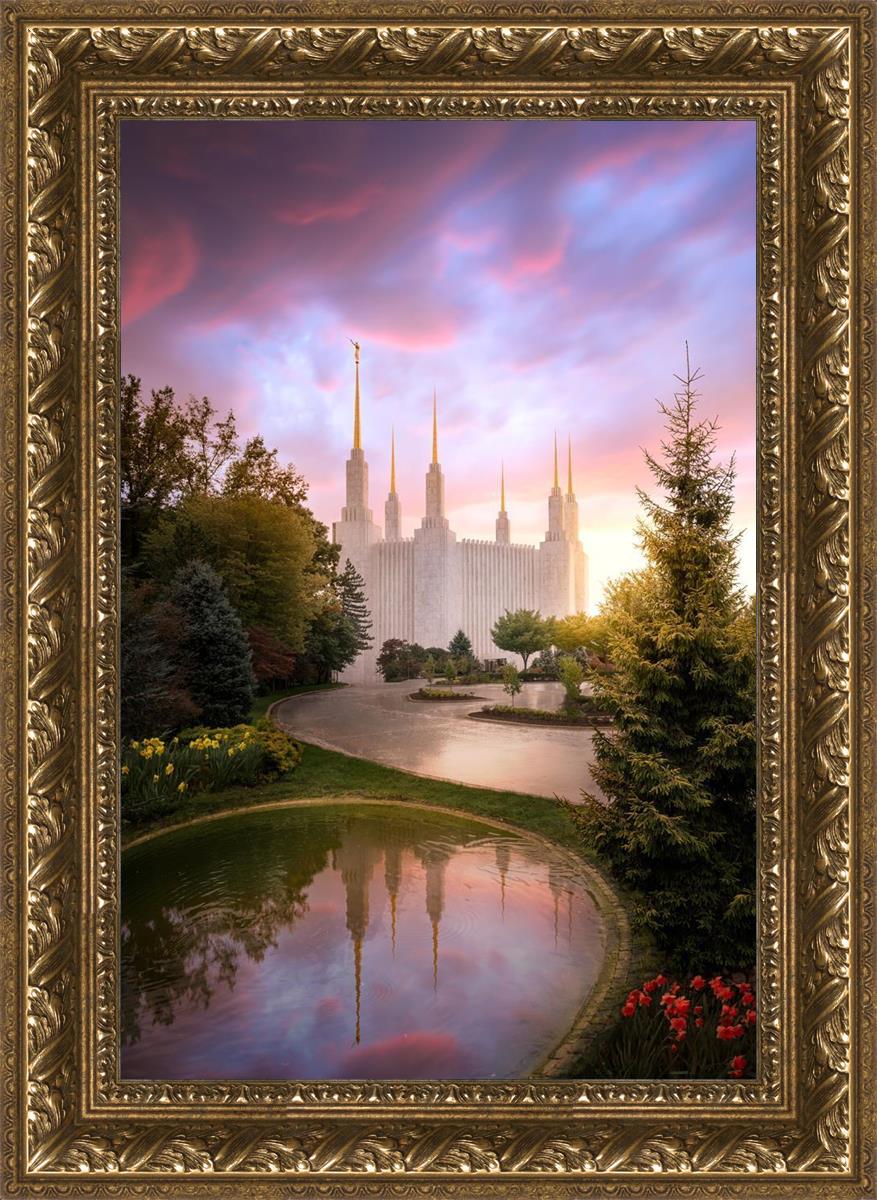 Washington DC Reflections Into Eternity