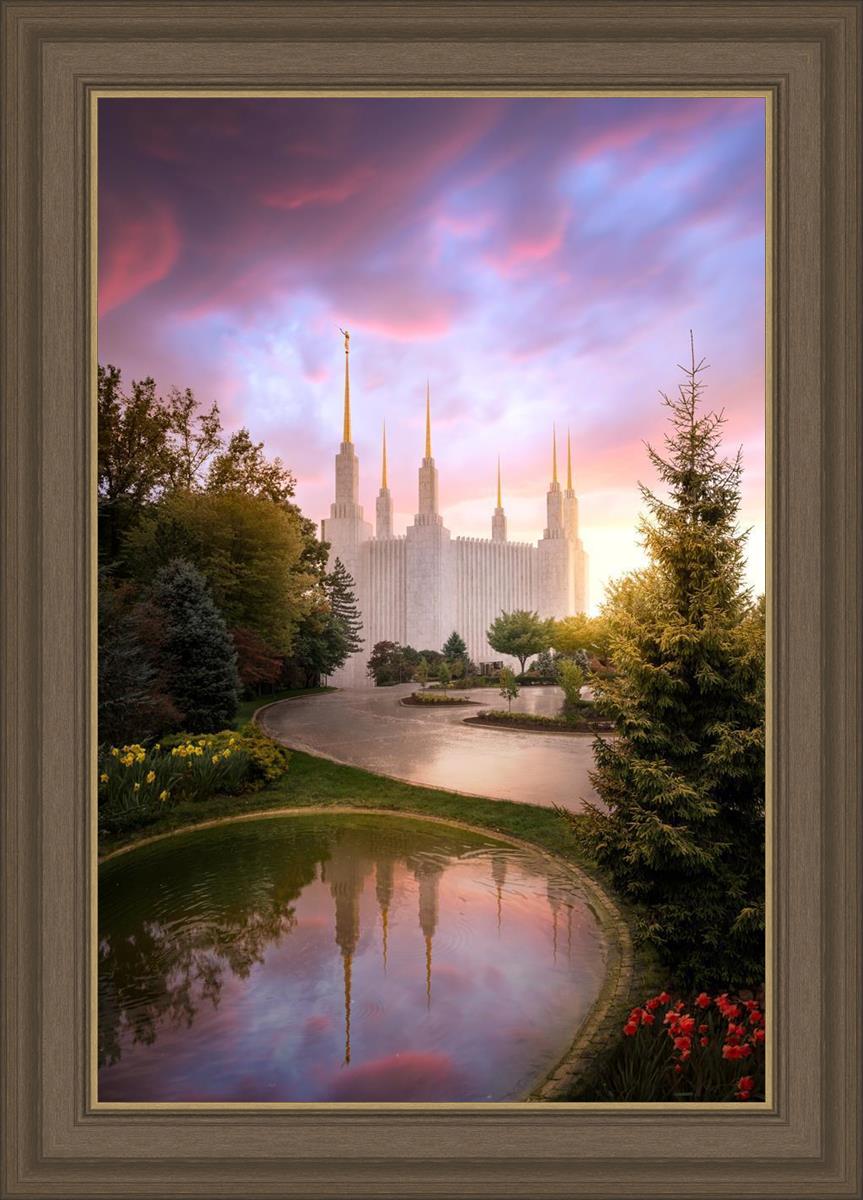 Washington DC Reflections Into Eternity
