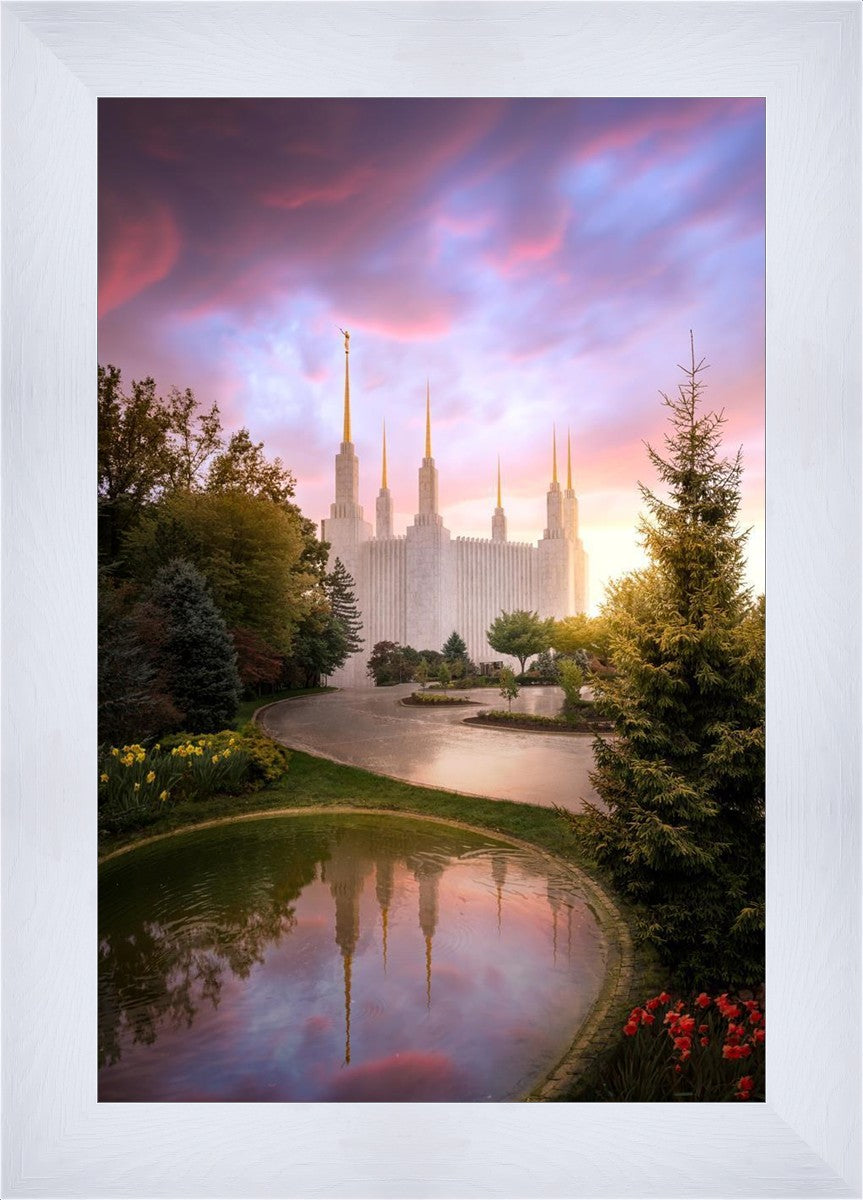 Washington DC Reflections Into Eternity