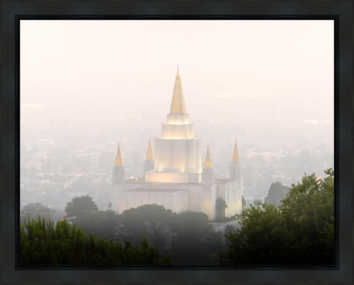 Foggy Oakland