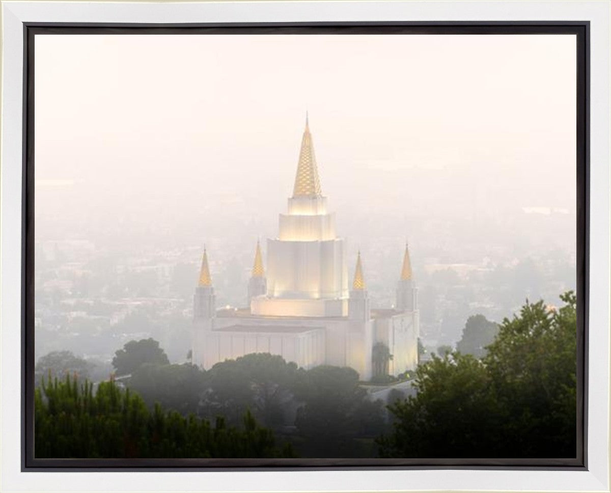 Foggy Oakland