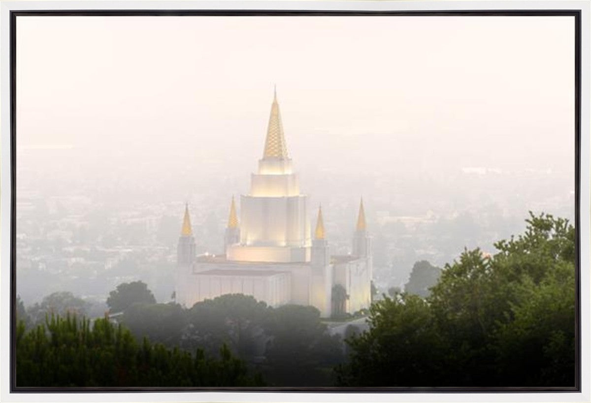 Foggy Oakland