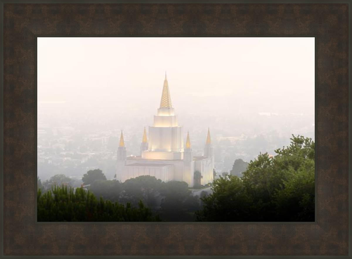 Foggy Oakland