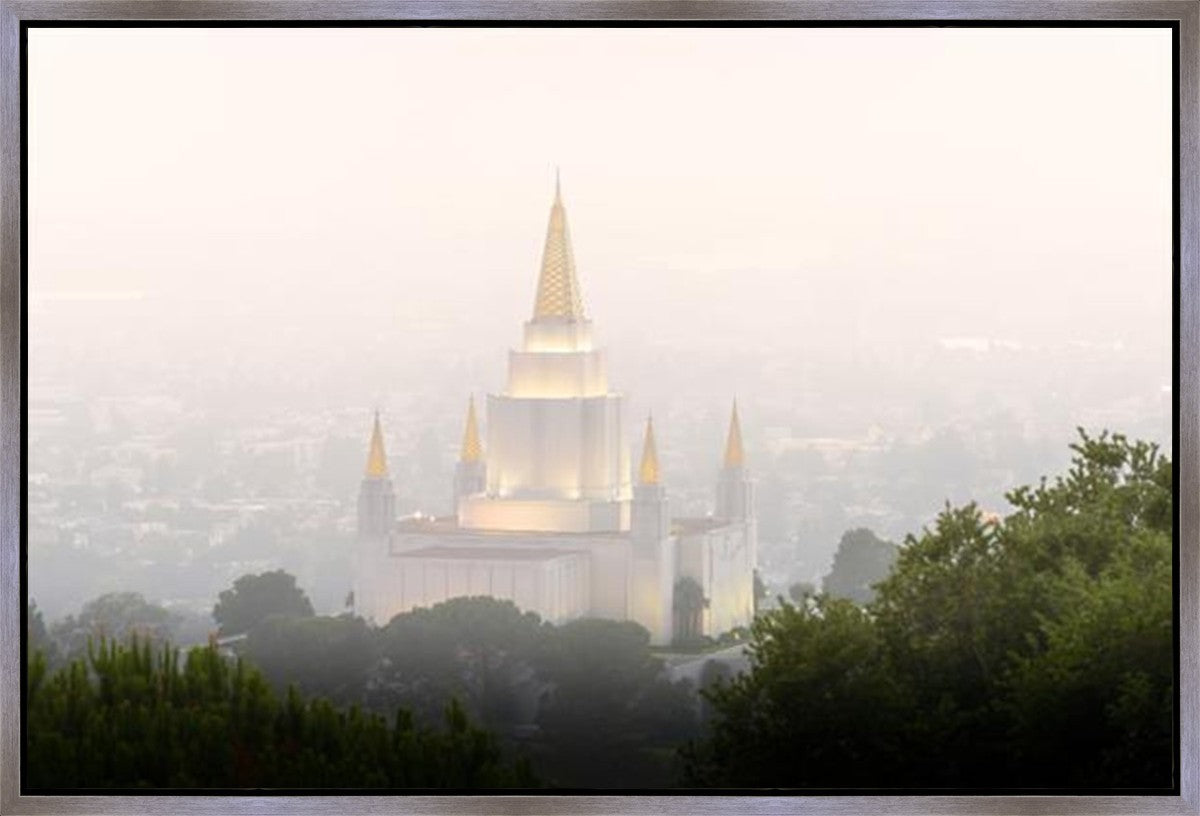 Foggy Oakland