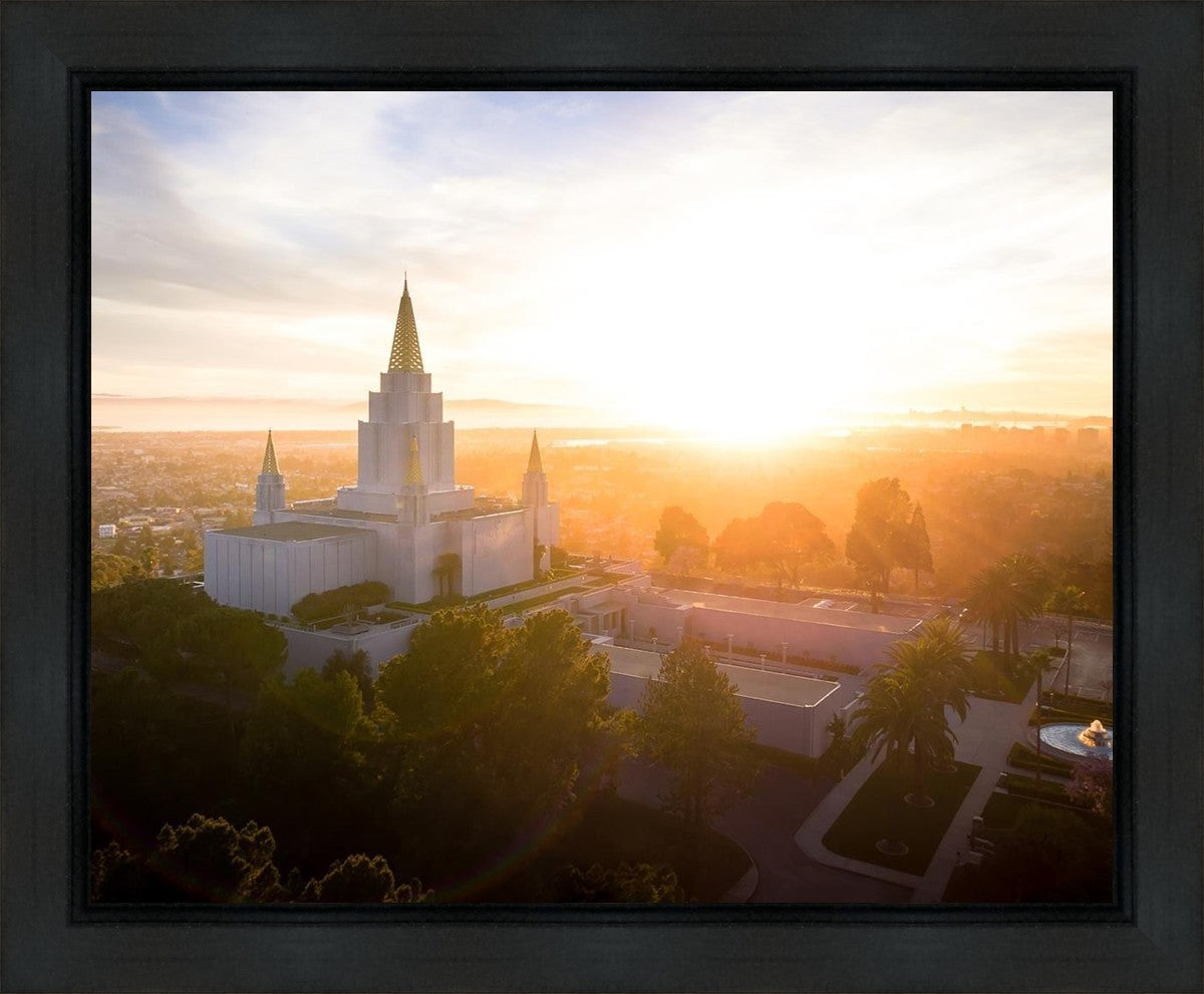 Oakland Sunburst
